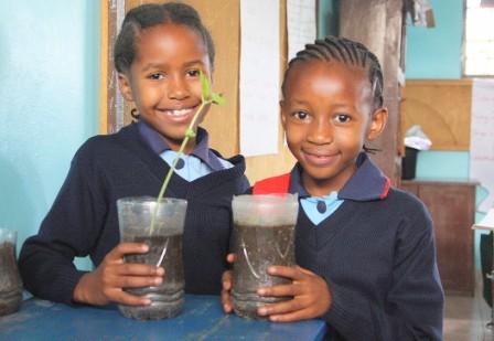 Students at Upper Primary perform experiments with plants