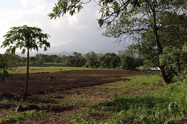 Green thumbs: Smith campus land is ready to produce healthy, nutritious fruit and vegetables for our students!