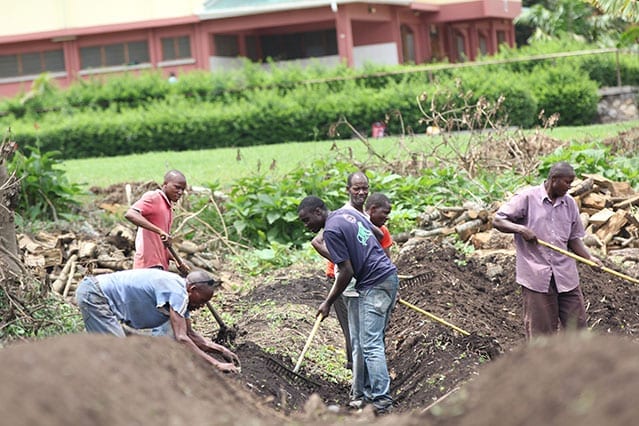 Hard yakka: Lots of team work has gone into the initial stages of our farm, or 'shamba'.