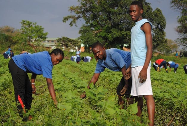 What goes around, comes around: St Jude's shamba feeds more than 1800 people.