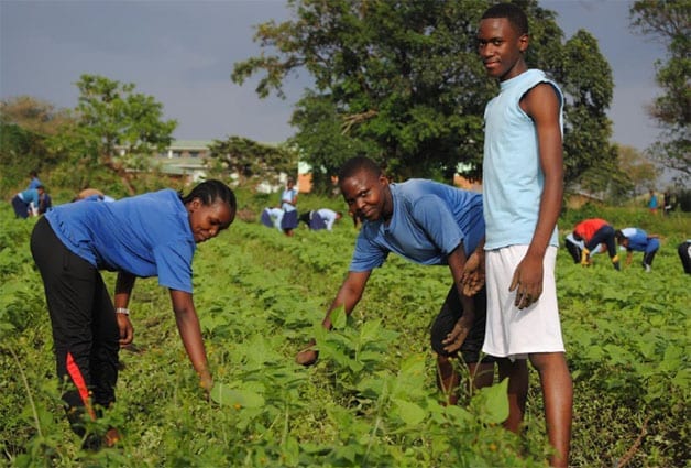 What goes around, comes around: St Jude's shamba feeds more than 1800 people. 