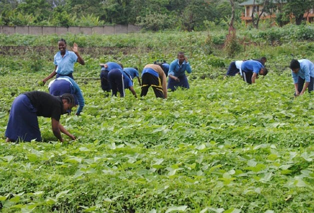 Rise and shine: Shamba Club participants soak up their weekend dose of Vitamin D!