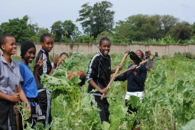 Farming frivolity: Students enjoy laughing, talking and singing as they work.
