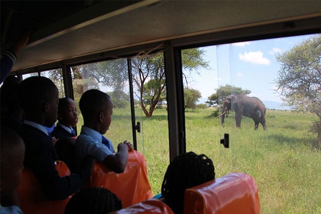 Tembo tempo: St Jude's students love visiting their four-footed friends in Tarangire National Park. 