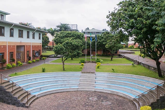 Once a maize field: The lush grounds of Smith Secondary Campus in 2018.