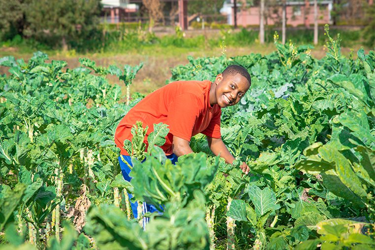 Form 6 student tending to the secondary school farm