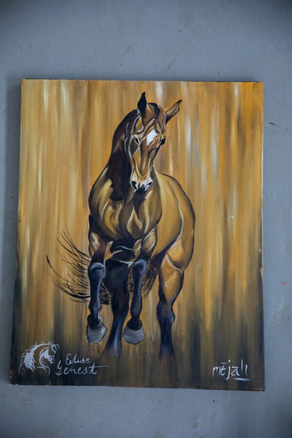Golden Horse, 2024