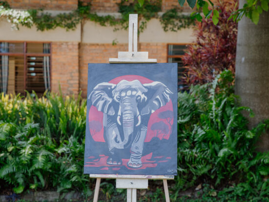 Elephant Eclipse, 2024