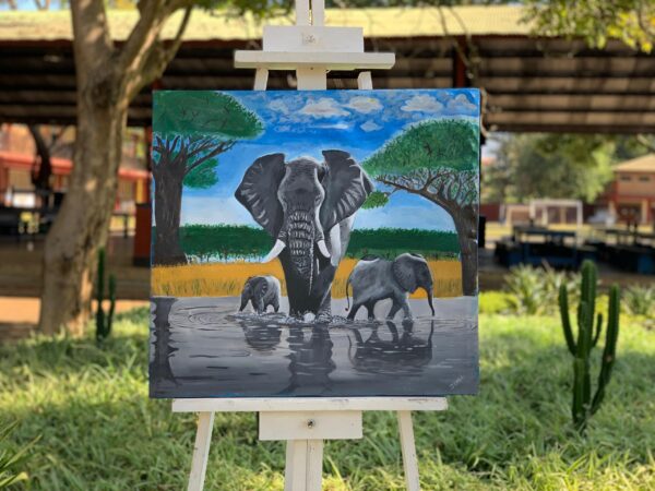 Elephant Affection, 2024