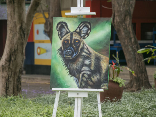 The Wild Dog, 2024