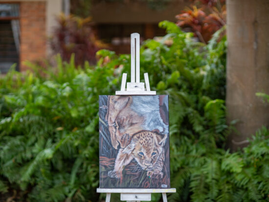 Beneath Her Gaze, 2025