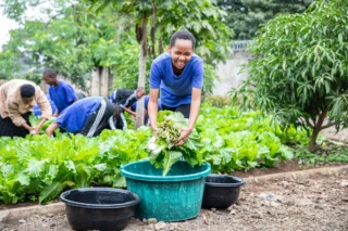 At St Jude’s, learning doesn’t just happen in the classroom; sometimes it takes root in the soil. 

This year marks the start of an exciting new initiative: a hands-on vegetable farming project led by our Form 1 students. Designed to bring agricultural studies to life, this project helps students gain real-world experience in producing food, from clearing the land and planting nursery beds to applying fertiliser and harvesting fresh Chinese cabbage. 

Thank you to our supporters for helping us launch new learning experiences like this one. Together, we're planting seeds of knowledge that will grow for years to come. 

Stay updated on more student-led impact stories by subscribing to our monthly newsletter. Link in bio. 

.

#agricultureInaction #growingfutureleaders #schoolofstjude #fightingpovertythrougheducation